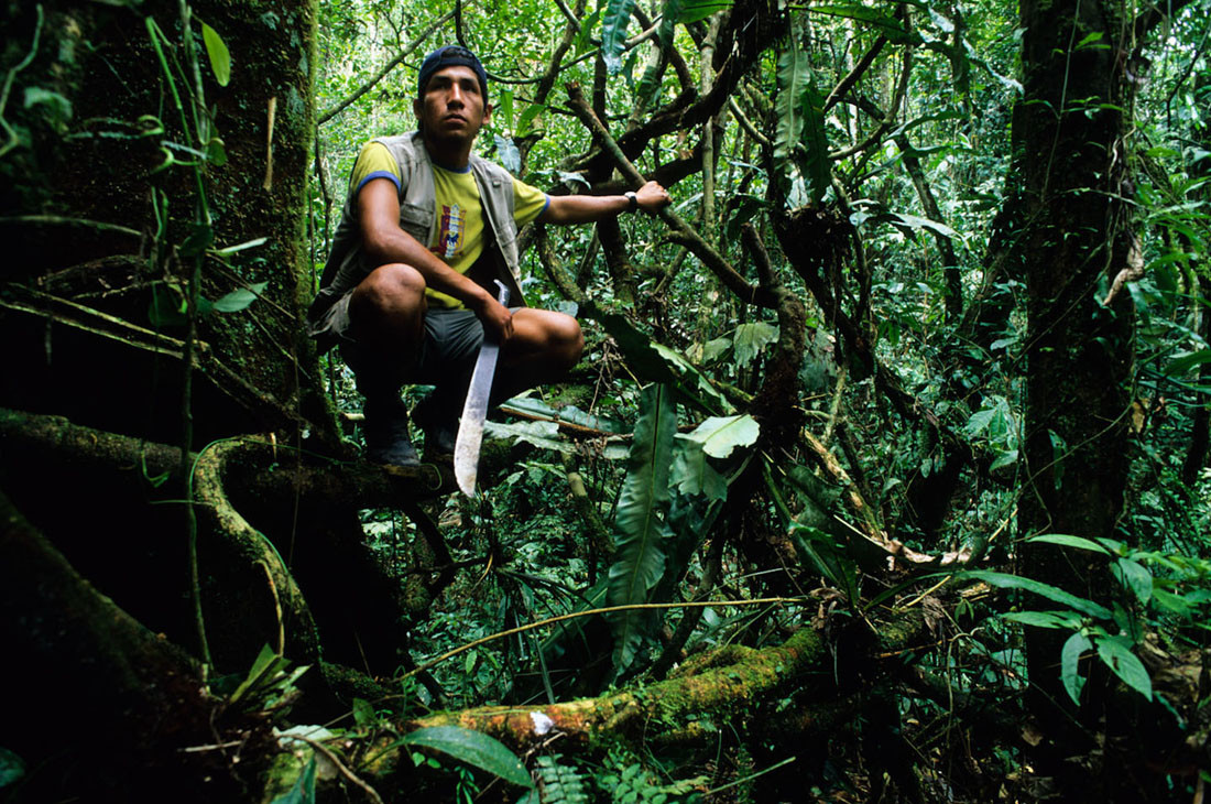 Amazonas, Parque Nacional del Manu